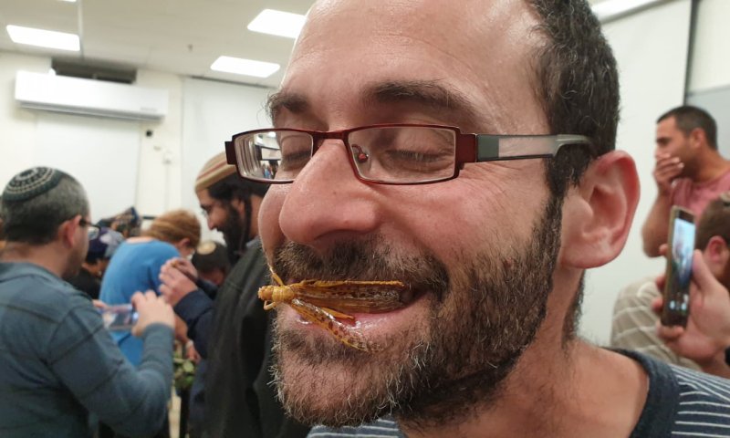 לאמיצים בלבד: חקר כשרות הארבה עם טיגון וטעימה