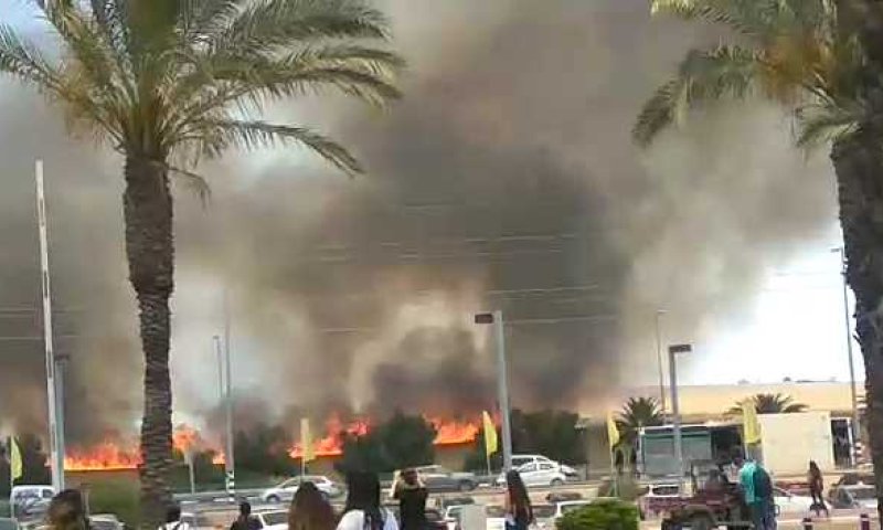 מזעזע: שדות החיטה בוערים מול מכללת ספיר. צפו