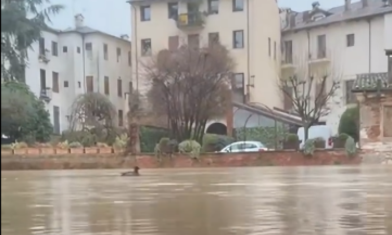 המבול הגיע לאיטליה: מטר וחצי של הצפות, כבישים קרסו