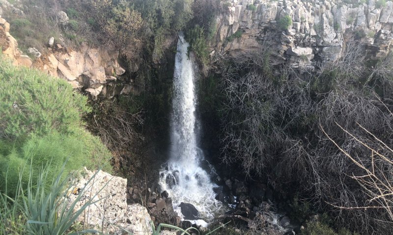 צפו: התמונות המרהיבות של השלג והזרימות בצפון