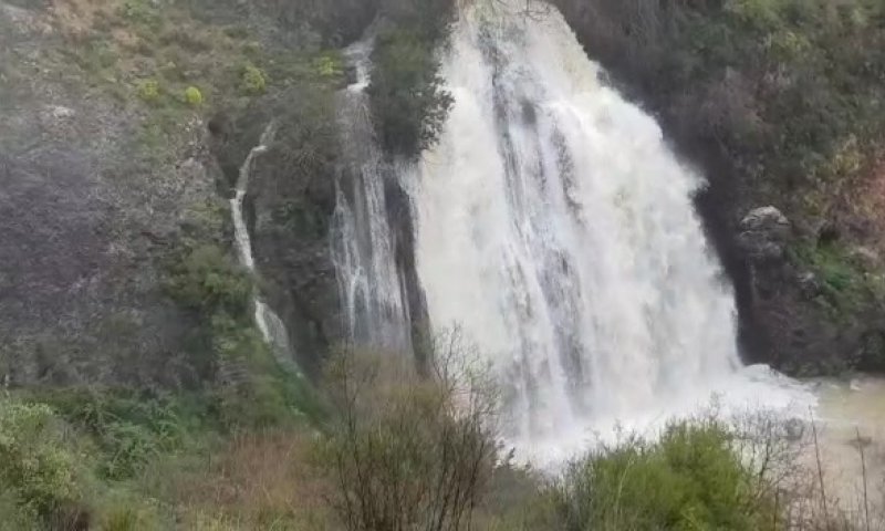 בעיצומה של חופשת הפסח: התגלו נחלים מזוהמים בצפון