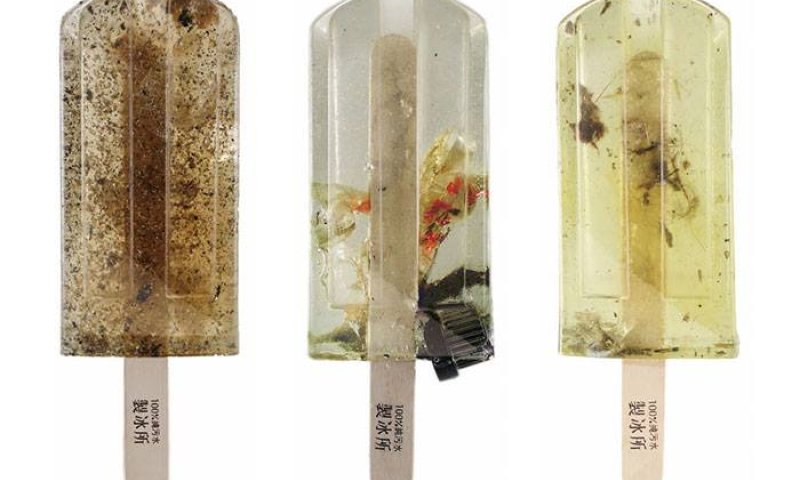 יפים ומזוהמים: הארטיקים שעלולים לגרום למוות