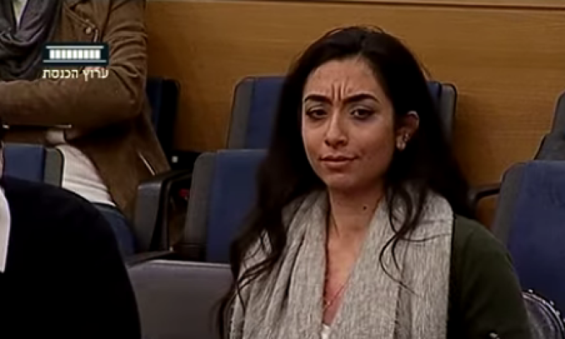 צפו: ח"כית  קטעה  ערביה: "את בישראל, דברי עברית"