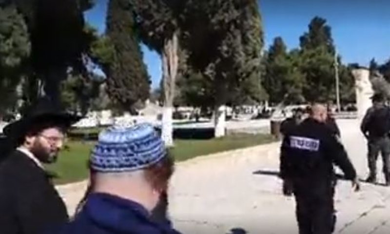 למרות הפיגוע: הר הבית נפתח לכניסת יהודים. צפו