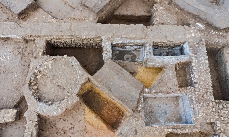 יין ורוטב דגים: נחשף תפריט רומי מלפני 2,000 שנה