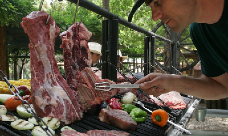 פרשת ראה: בתורת ארץ ישראל בשר זה לא רצח