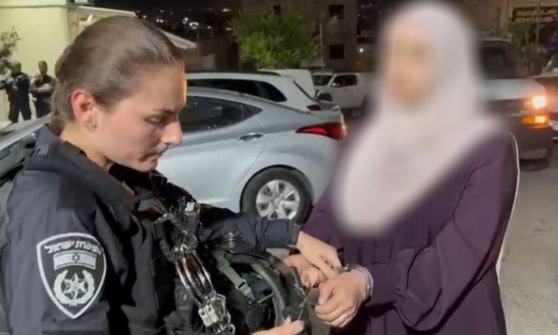 "אין טהור מדם השהידים": תושבת הגליל הסיתה ונעצרה. צפו