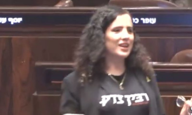 בדקנו בתקנון: היה צריך להוציא את נעמה לזימי מהכנסת