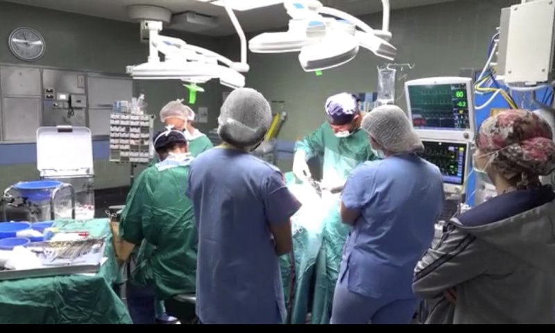 גמילות החסד האחרונה של הרב הלל פלסר זצ"ל