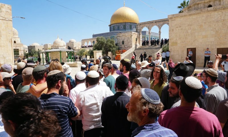 שיא חדש: 1,729 עולים להר הבית בתשעה באב