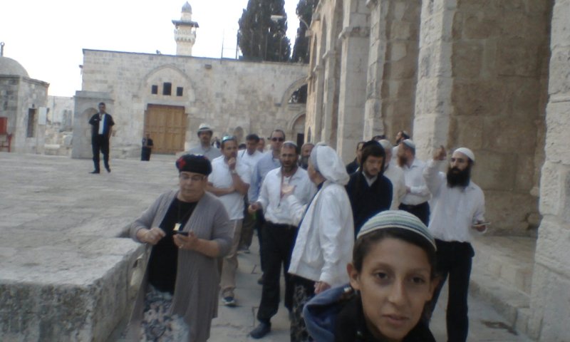 צפו: צרחות ונאצות על העולים להר הבית