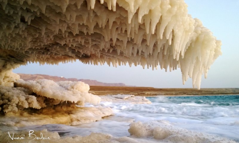 לא רק חיסונים ובחירות &ndash; שיאים ישראליים יחודיים