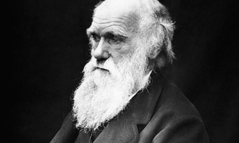 אל תבלבלו בין התפתחות לדרווניזים