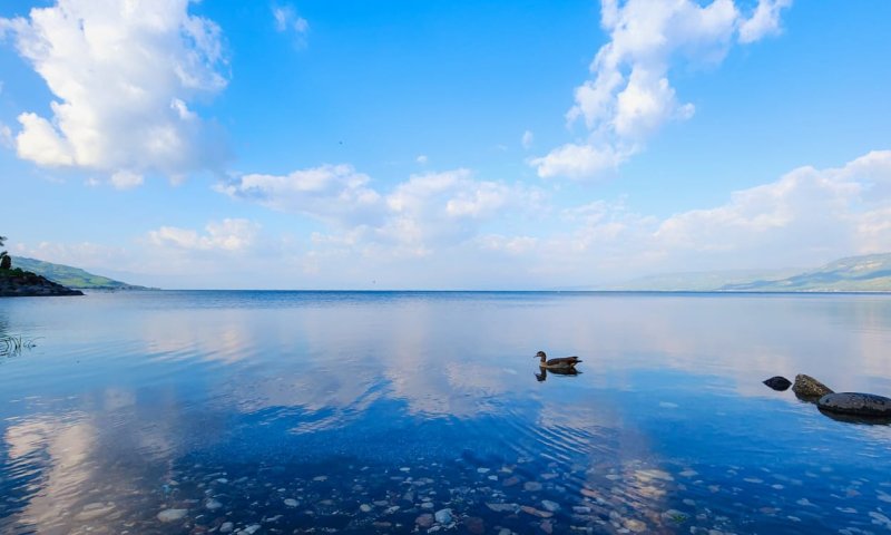 עולה עולה: מפלס הכנרת עם עוד נתון משמעותי