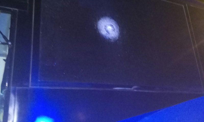 פיגוע ירי לעבר אוטובוס בין עפרה לשילה &bull; פצועה קל