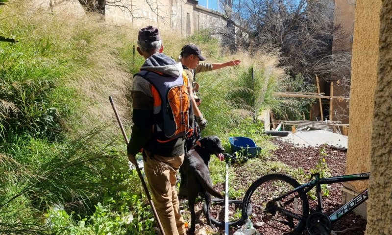 חשש ממשי לחייה: היימנוט הקטנה טרם נמצאה
