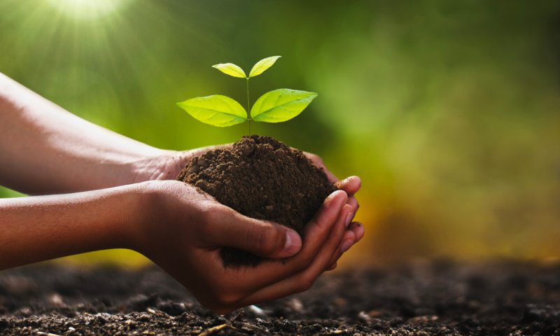 ירוק בפנים ובחוץ: הכירו מהו פסטיבל קיימות בירושלים