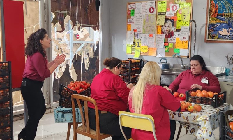 צו 8: קופה ראשית בפרק מיוחד למלחמת חרבות ברזל