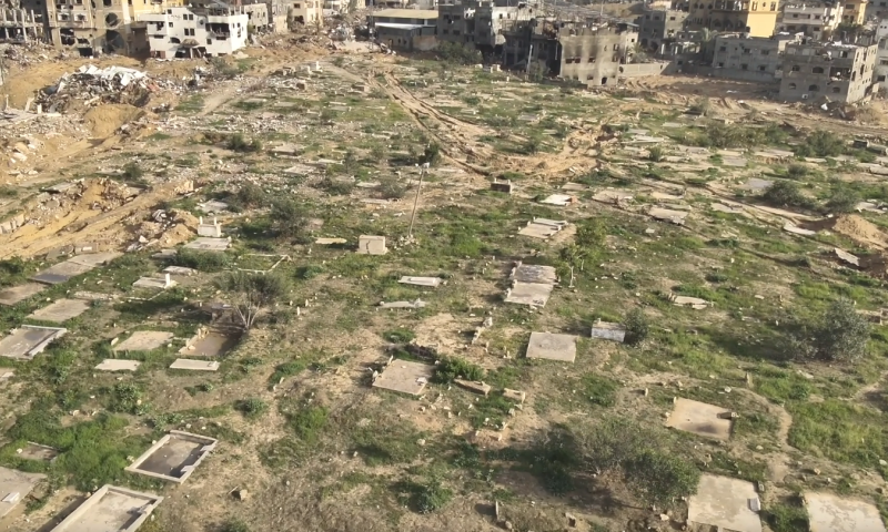 ערף חמור בבית קברות מוסלמי ונדון ל-16 חודשי מאסר