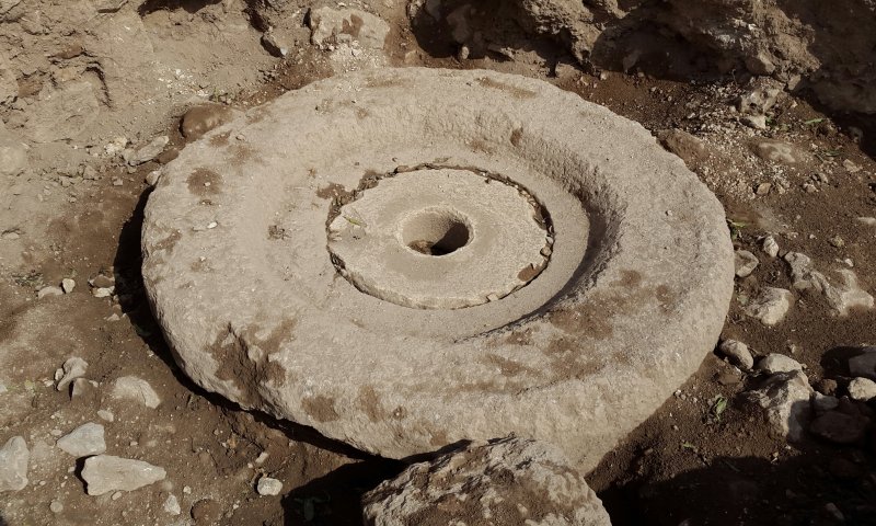 לכבוד החנוכה: נחשף בית בד בן כ-1300 שנים בשילה