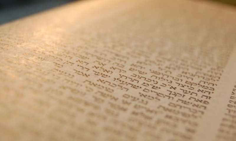 לזכות החטופים: לומדים דף יומי