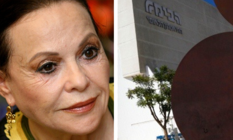 תיאטרון הבימה לא יפורק, ימונו נאמנים להסדר נושים