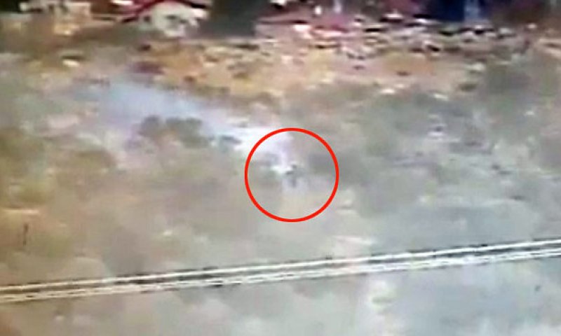 צפו: כך סיכלו התצפיתניות נסיון הצתה בשומרון