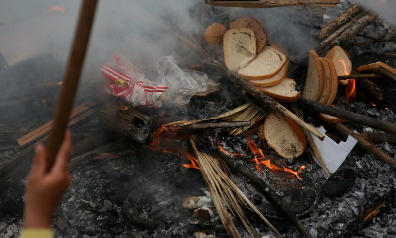 שבוע בלי לחם: עם ישראל ביער את החמץ. גלריה
