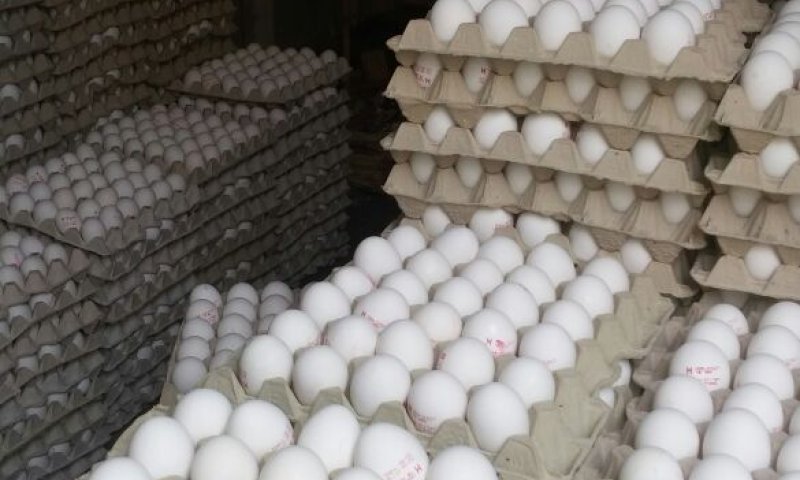 30,000 ביצים מזויפות נתפסו בדרך לחנויות בי-ם