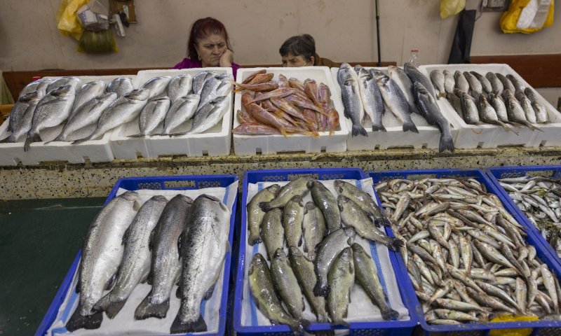 בשורה: פורסם הצו המבטל את המכס על הדגים