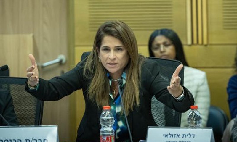 מירב בן ארי נחרדת: למה פעילי השמאל עצורים כמו מחבלים?