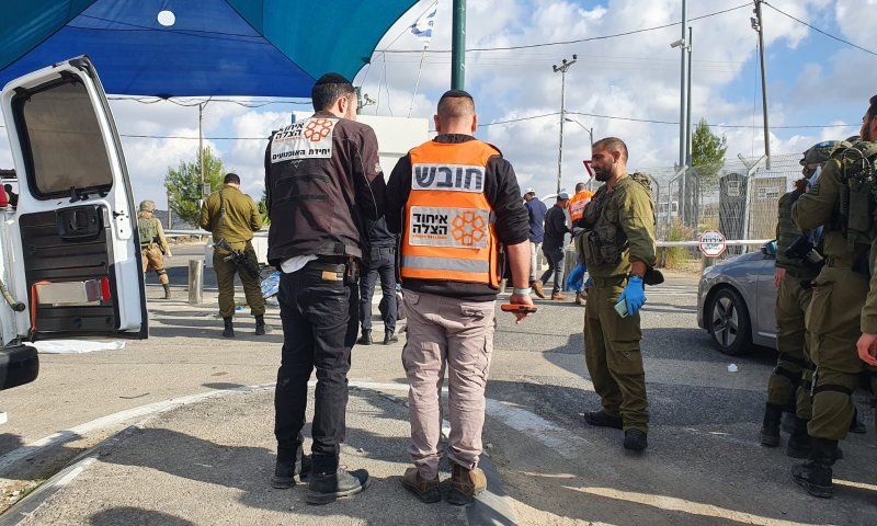 פיגוע דריסה ליד בית חורון, המחבל נוטרל