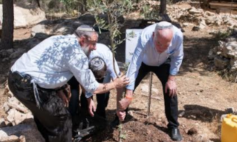 "3 המשפחות הכי אצילות הצליחו לאחד את כל העם"