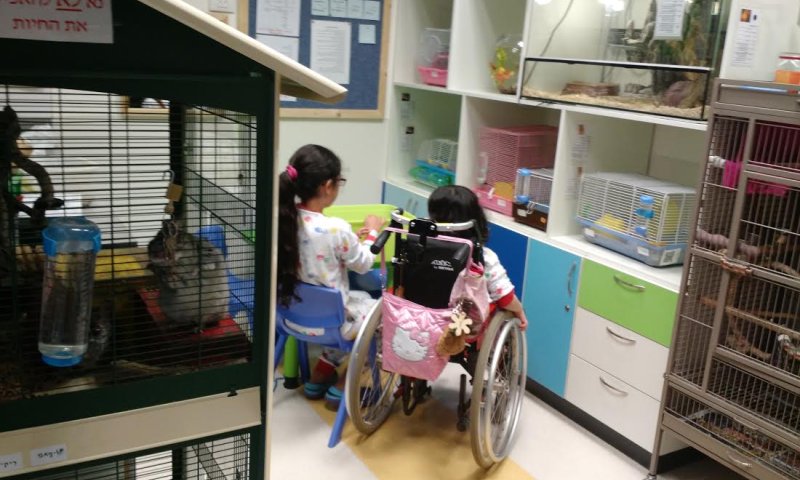 הופכים עולמות בשביל הילד: ביה"ס שבתוך בית החולים