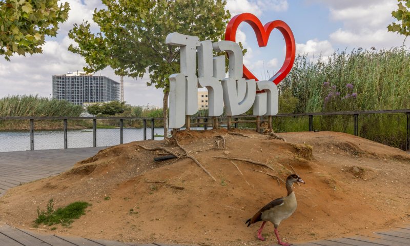 אנשי המחאה מקדמים מינוי רב עיר מהגרעין התורני בהוד השרון