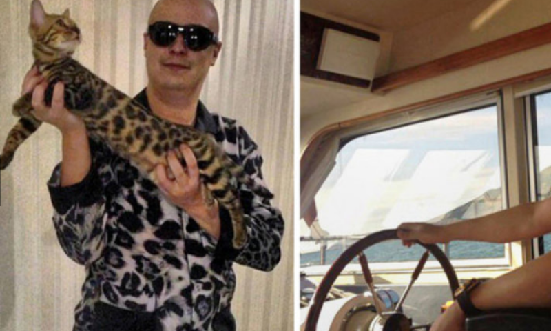 לא בדיחה: 3 מיליון דולר למי שיתפוס את האקר עם הנמר