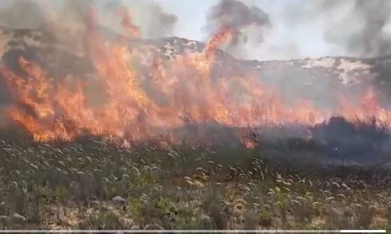 בלון תבערה נפל בפתח בית פרטי &bull; 25 שריפות בעוטף