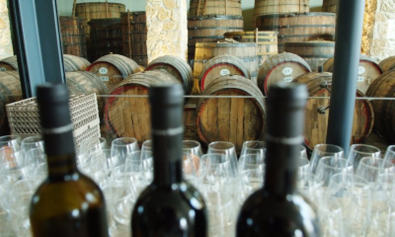 היענות עצומה לרכישת היין של צביקי סטרוק