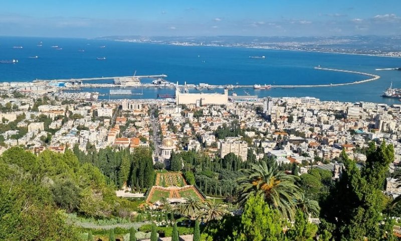 חיפה מלמעלה ועד הים: טיול קסום של נוף, בוטניקה והדר