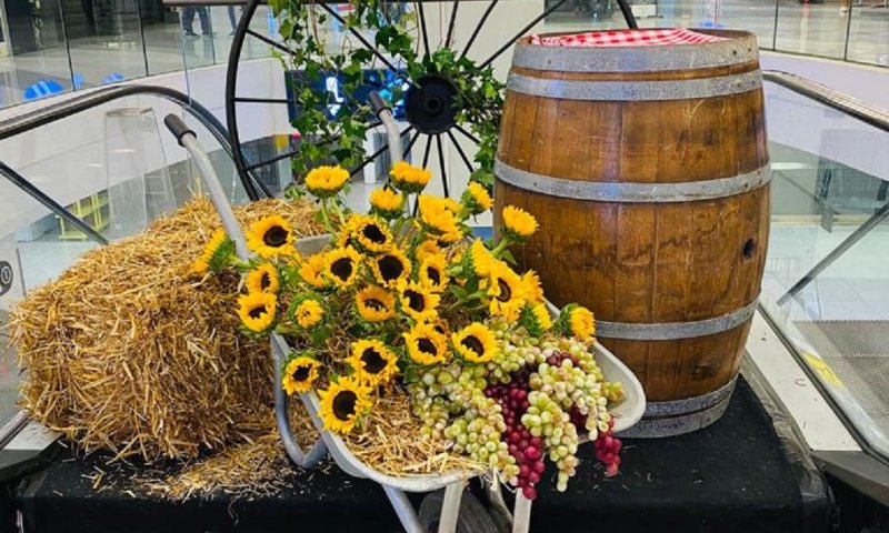 גבינות, יין ונגני בוזוקי: יריד שבועות בקניון הדר ירושלים