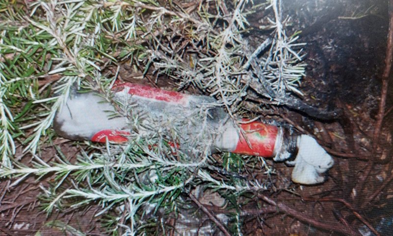 נמנע אסון כבד: חוליית מחבלים חוסלה בדרכה לבצע פיגוע