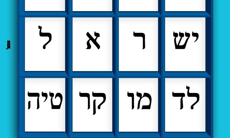 המסמך שמוכיח: הקרן החדשה לישראל הוחבאה