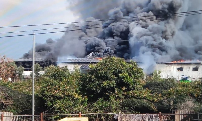 שריפת האנגר בפתחיה: חשש לחיי חיות במבנה&nbsp;