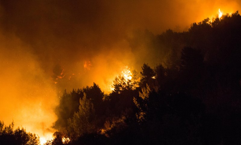 18 ערבים נעצרו; 90 מקרים חשודים כהצתה