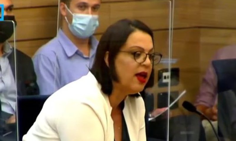 דיסטל: "50 נוסעים ערבים מטרידים נשים לעיני כל"