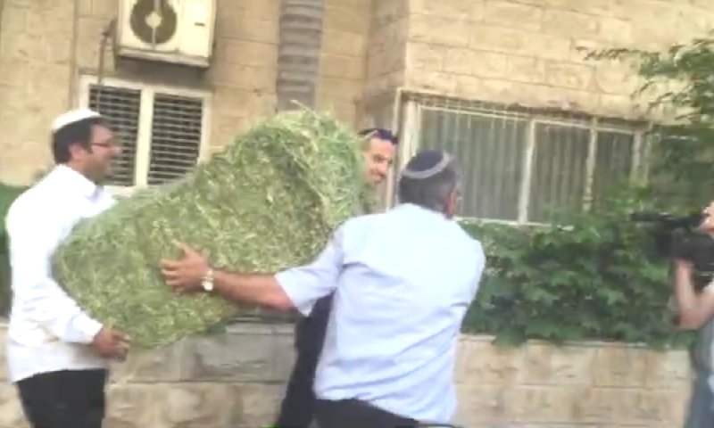 בן ארי ובן גביר הגישו חציר לעודד קוטלר