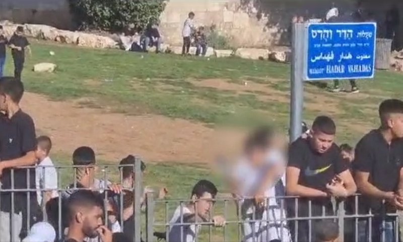 צפו: ערבים השליכו חפצים לעבר שוטרים בשער&nbsp;שכם