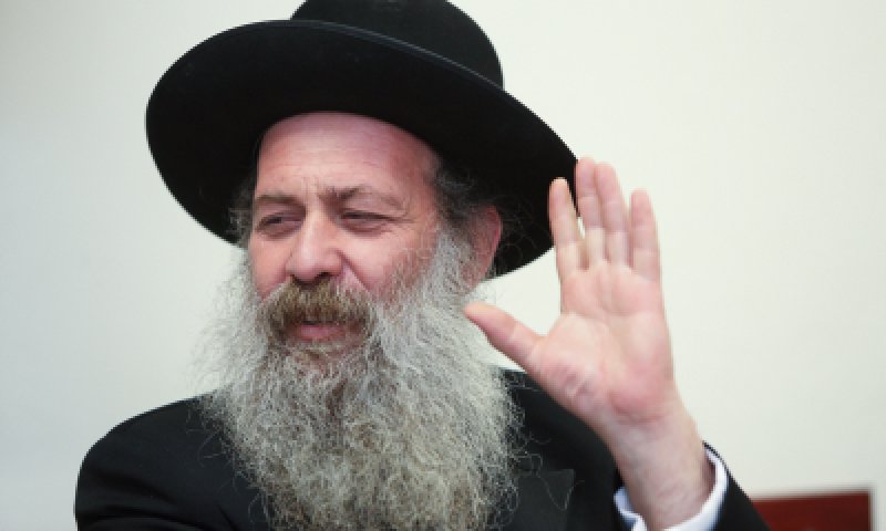 בנו של שולי רנד: "אמא ניסתה לייצר פרובוקציה"