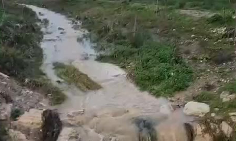 כמויות עצומות של מים: צפו בזרימות האדירות בנחלים