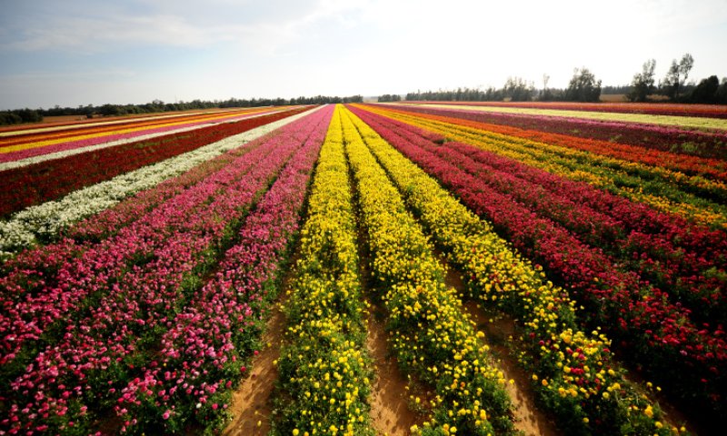 חם מהרגיל לעונה; הפוגה מהגשם: תחזית מזג האוויר